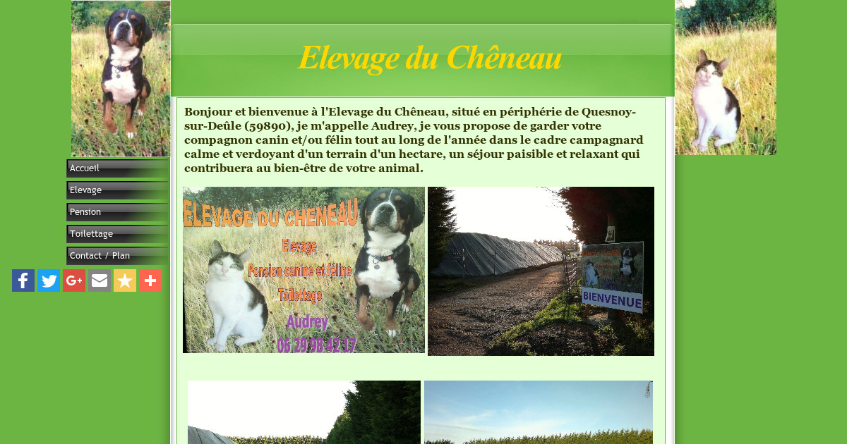pension chien quesnoy sur deule