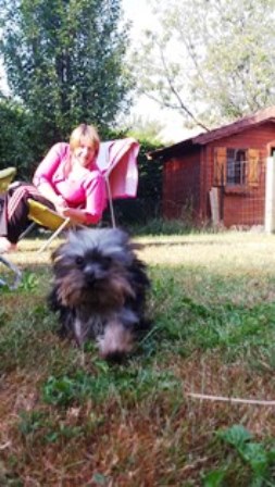 pension chien quingey