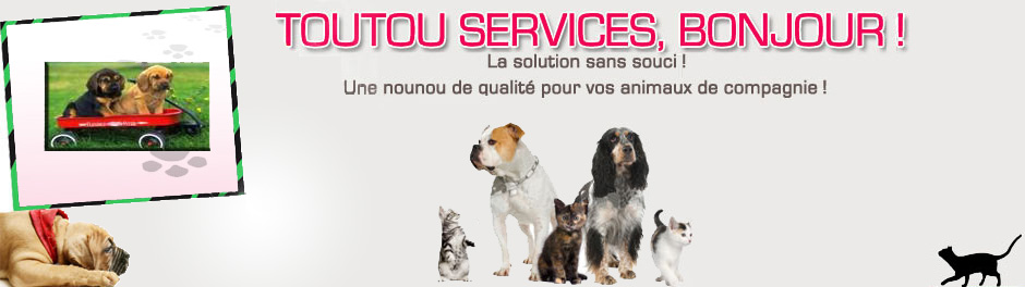 pension chien toulon
