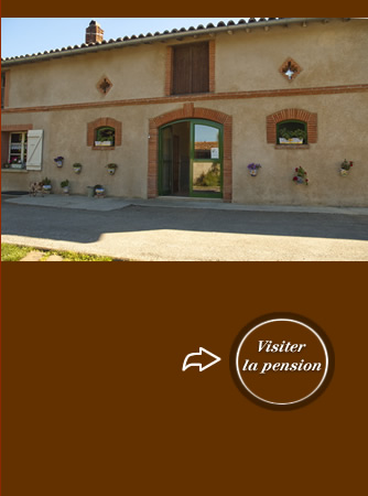 pension chien toulouse