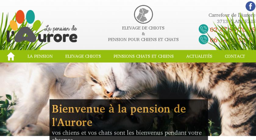 pension chien tours