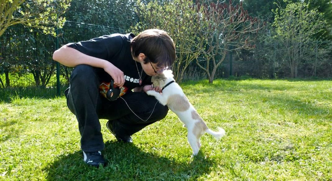 pension chien tours