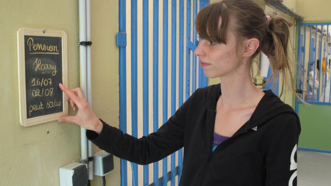 pension chien west cappel